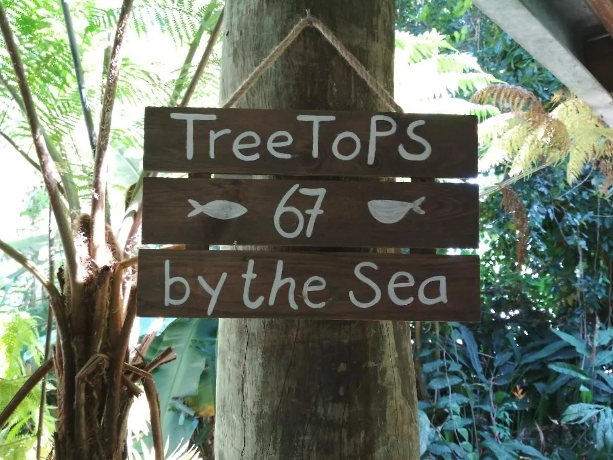 Treetops By The Sea: Your Family Holiday Escape! Villa Mission Beach